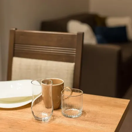 דירה Five-o-six Apartment, Zupa-kopaonik קופאוניק